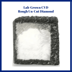 website pope lab vs diamomd 500x500 (500 x 500 px)